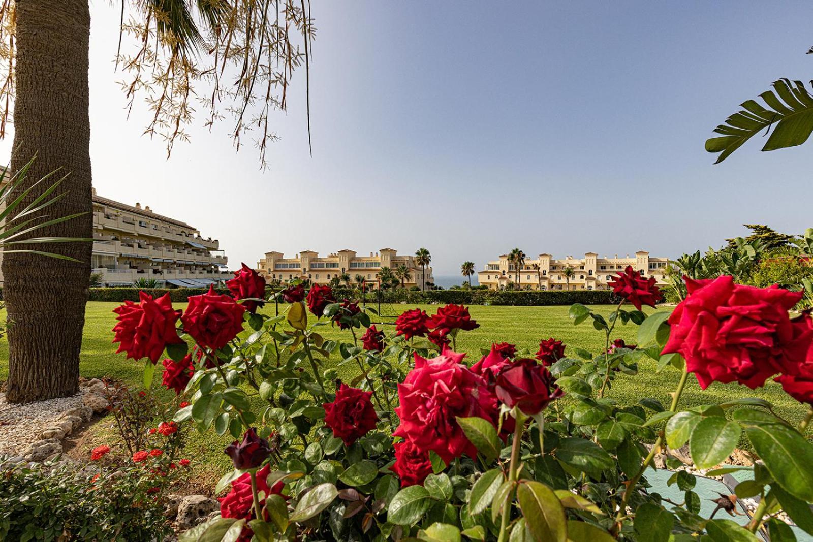 La Cala Gorgeous 2 Bedroom Apartment With Stunning Gardens, Pools And Sea Views El Faro Buitenkant foto